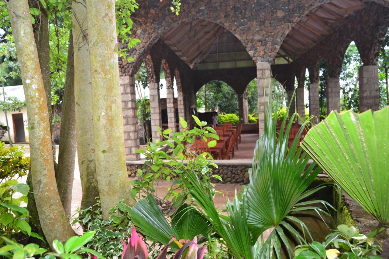 Serene Mountain Lodge Marangu Exterior photo